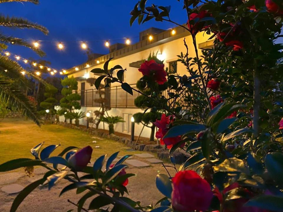 Jeju Abientot Villa Seogwipo Bagian luar foto